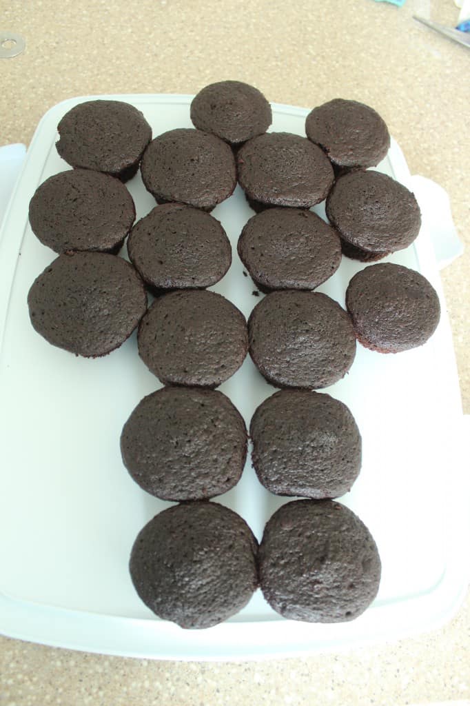 chocolate cupcakes laid out in a tree shape on cupcake carrier