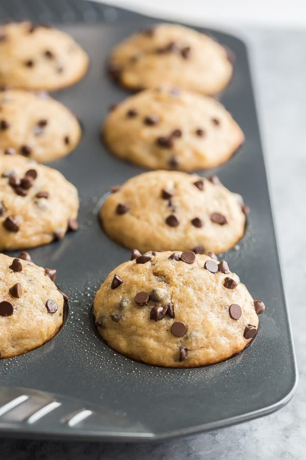 banana chocolate chip muffins in muffin pan with mini chocolate chips on top