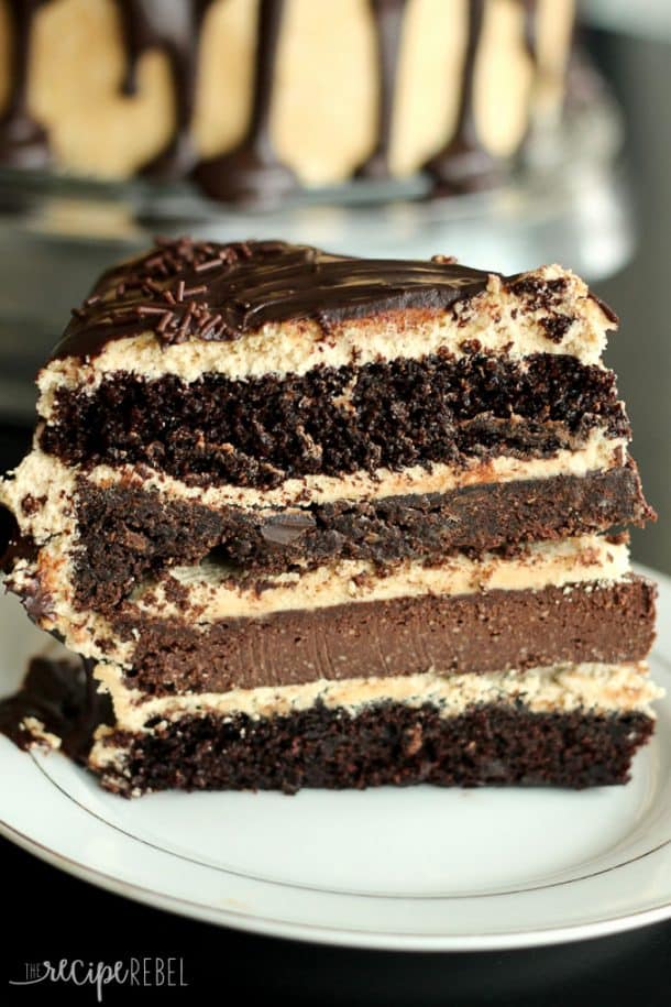 piece of chocolate peanut butter cake showing cake layers cheesecake layer and cookie layer