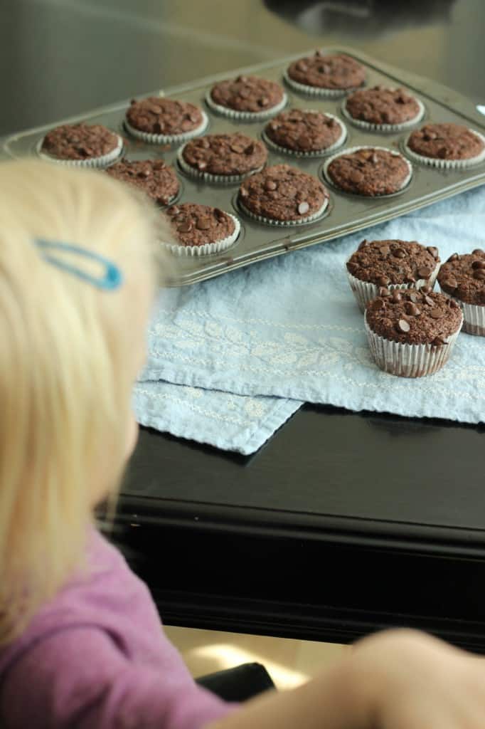 toddler looking at chocolate bran muffins on table