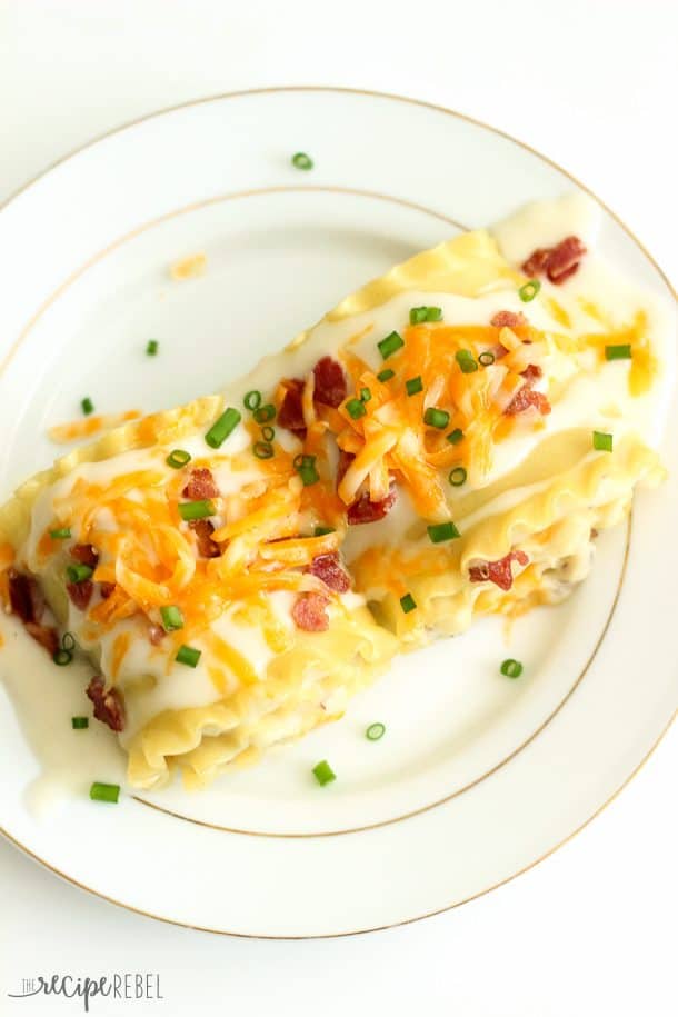 close up overhead image of perogy rolls on white plate