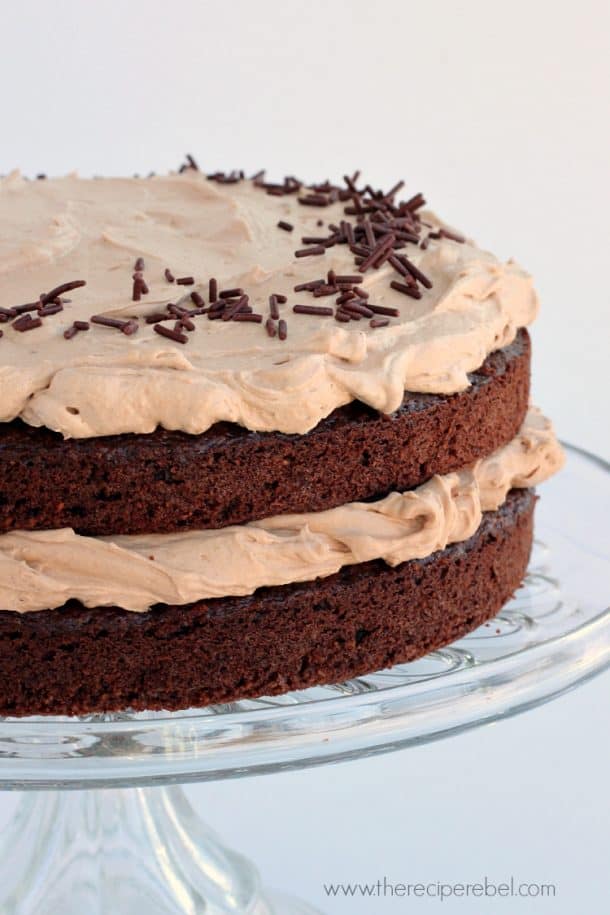 close up of mexican chocolate cake with chocolate frosting with chocolate sprinkles