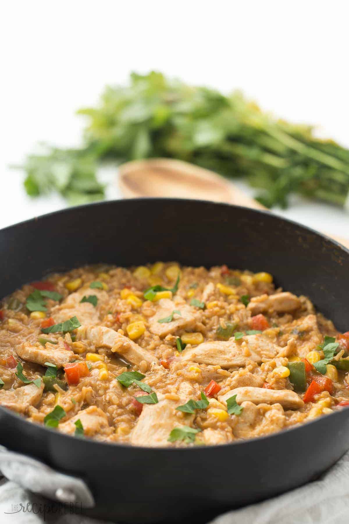 20 Minute Chicken and Rice: Easy Weeknight Meal!