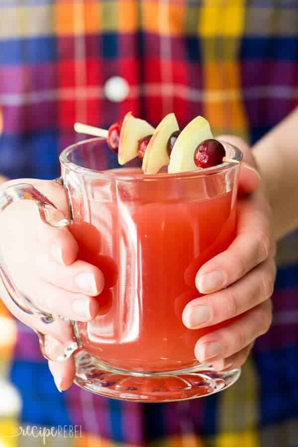 Crockpot Cranberry Apple Cider | Warm and Fancy Crockpot Drinks You Can Serve This Winter