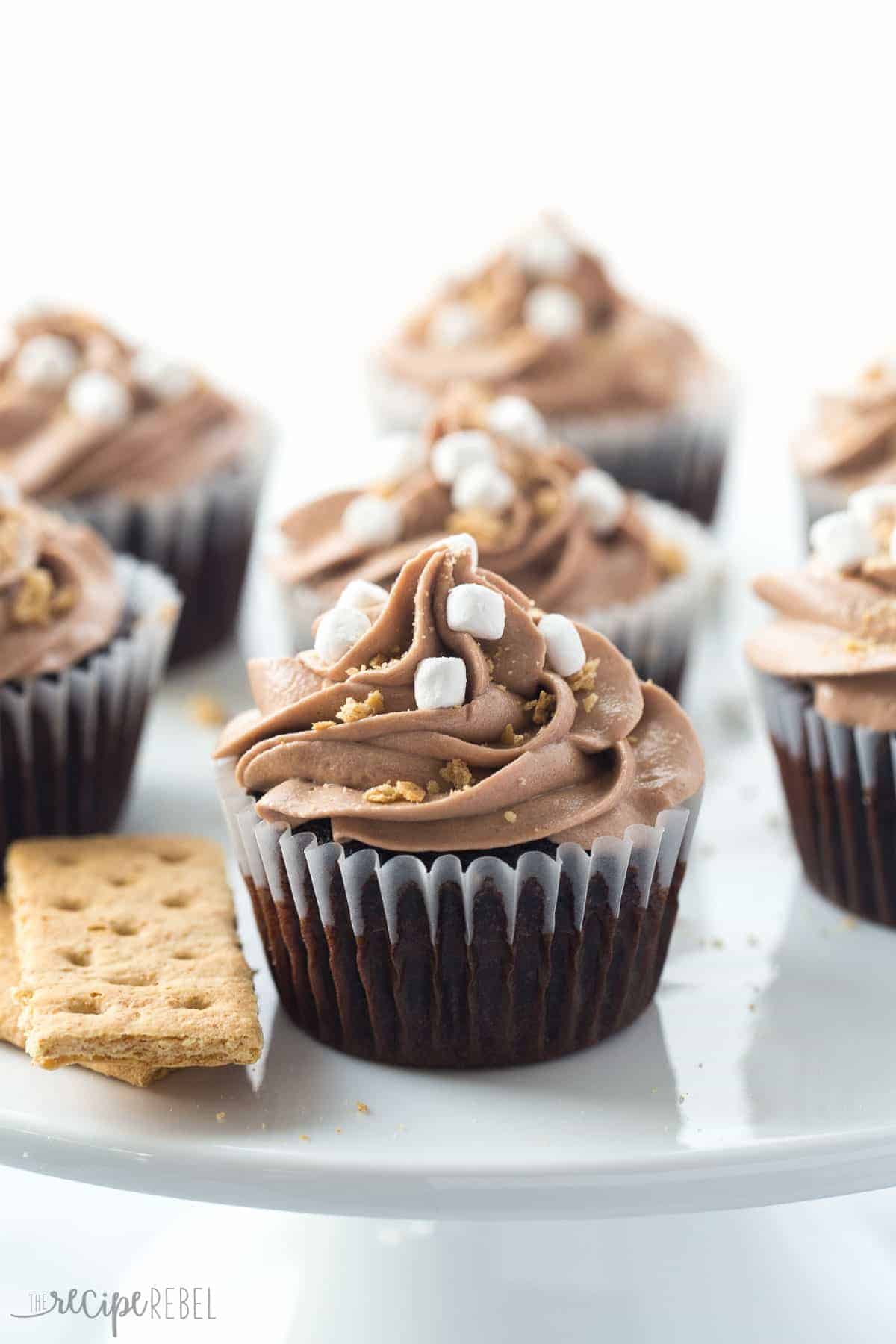 chocolate cupcakes with nutella frosting and crushed graham crackers and marshmallow bits