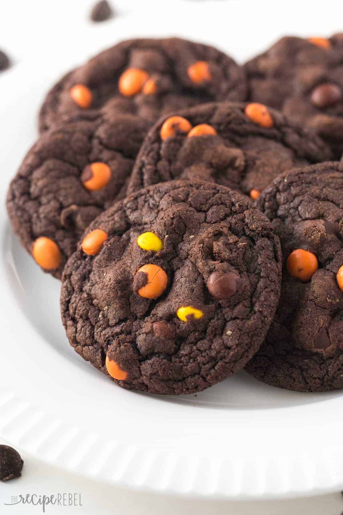 Fudgy, chewy double chocolate cookies loaded with Reese's Pieces! Chocolate peanut butter perfection :) reese's pieces chocolate cookies on white plate close up