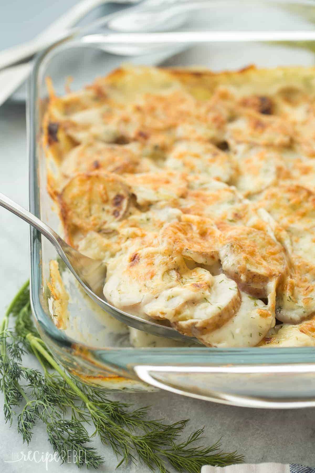 close up of creamy dill scalloped potatoes with spoon in baking dish