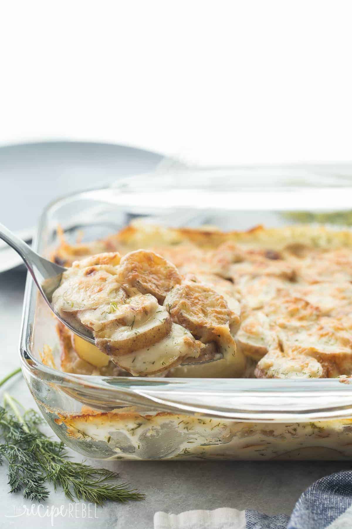 https://www.thereciperebel.com/wp-content/uploads/2016/03/light-creamy-dill-scalloped-potatoes-www.thereciperebel.com-7-of-8.jpg