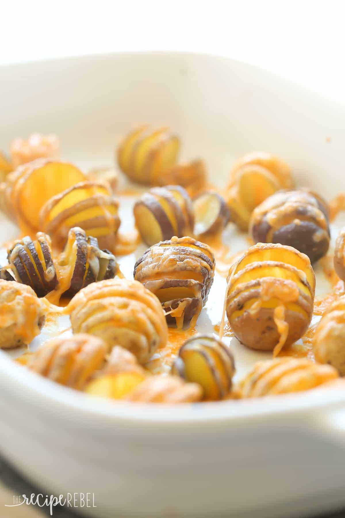 cheesy hasselback little potatoes in white pan with melted cheese all around