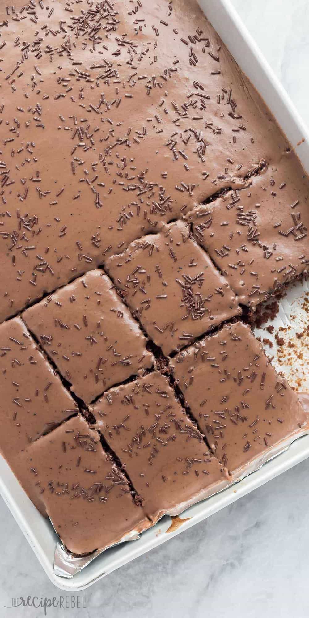 tall overhead image of frosted texas brownies with chocolate frosting and sprinkles cut into pieces