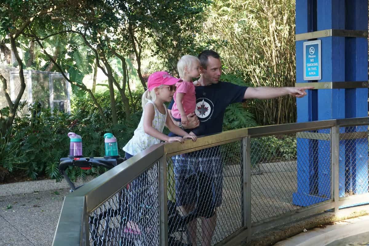 girls with dad a seaworld looking at a display
