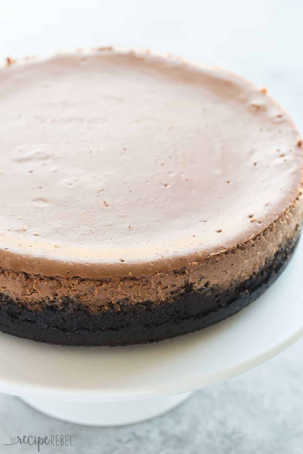 This is the BEST Chocolate Cheesecake! It's perfectly rich, creamy (with the help of Greek yogurt), and bakes up with no cracking and no water bath needed. This is the easy way to perfect baked cheesecake!