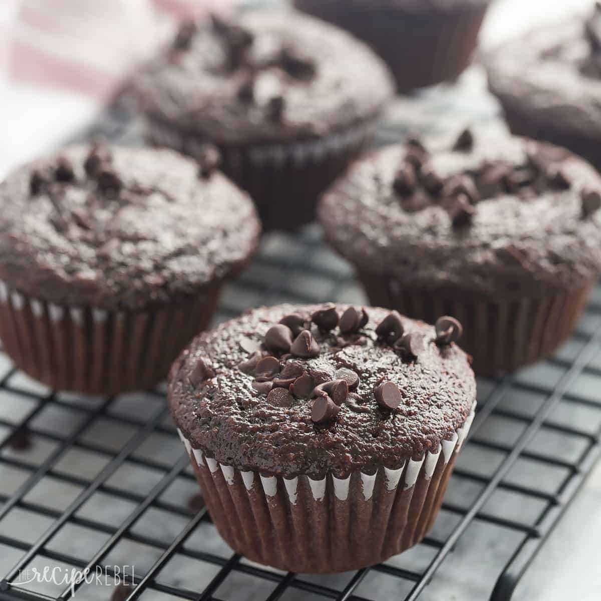 square image of double chocolate muffin on black baking rack with mini chocolate chips on top