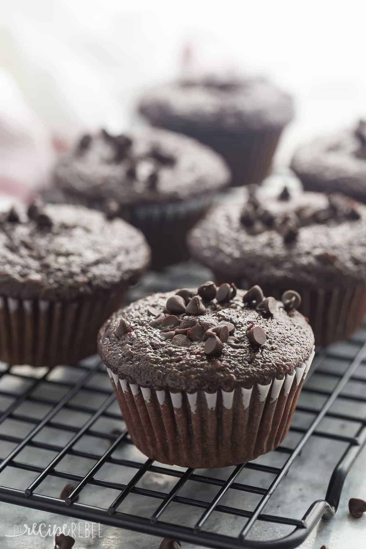 double chocolate muffins on black baking rack with mini chocolate chips on top