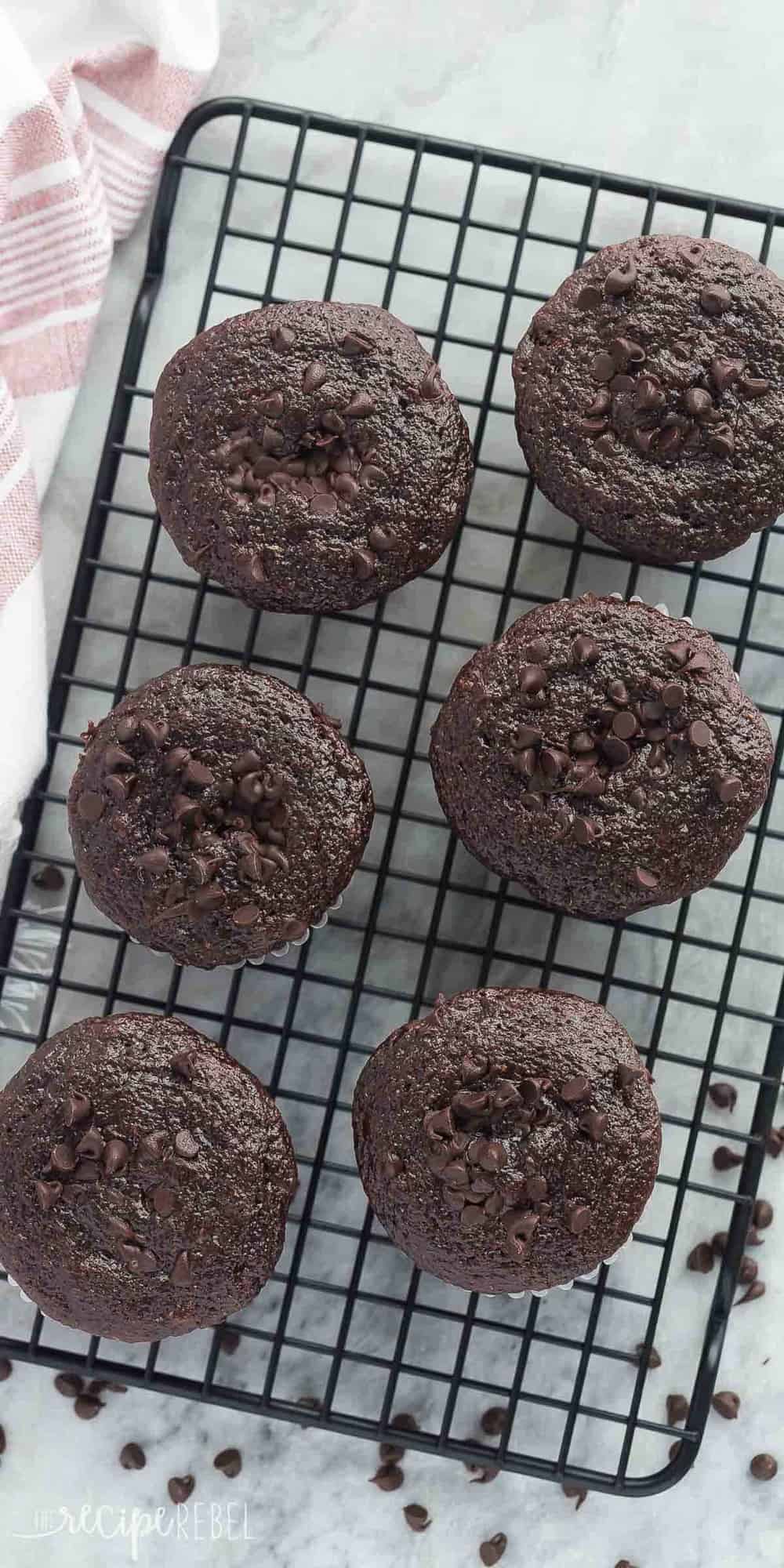 overhead image of double chocolate muffins on black baking rack with mini chocolate chips