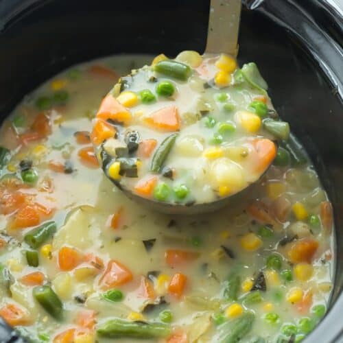 Slow Cooker Creamy Vegetable Soup with RECIPE VIDEO