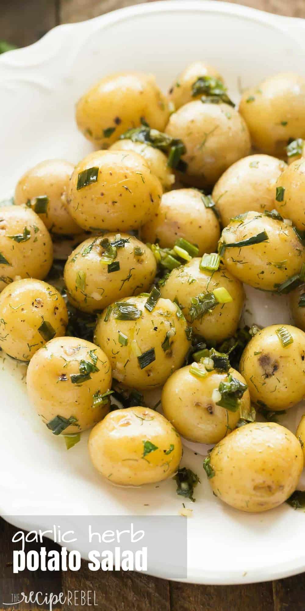 This no mayo Garlic Herb Potato Salad is great warm or cold -- the perfect make ahead side dish for summer barbecues, loaded with fresh herbs! Includes step by step recipe video. little potatoes in herb dressing on white plate