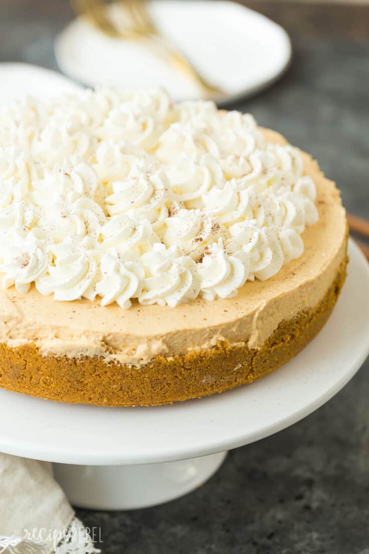 no bake pumpkin cheesecake with whipped cream on white plate whole