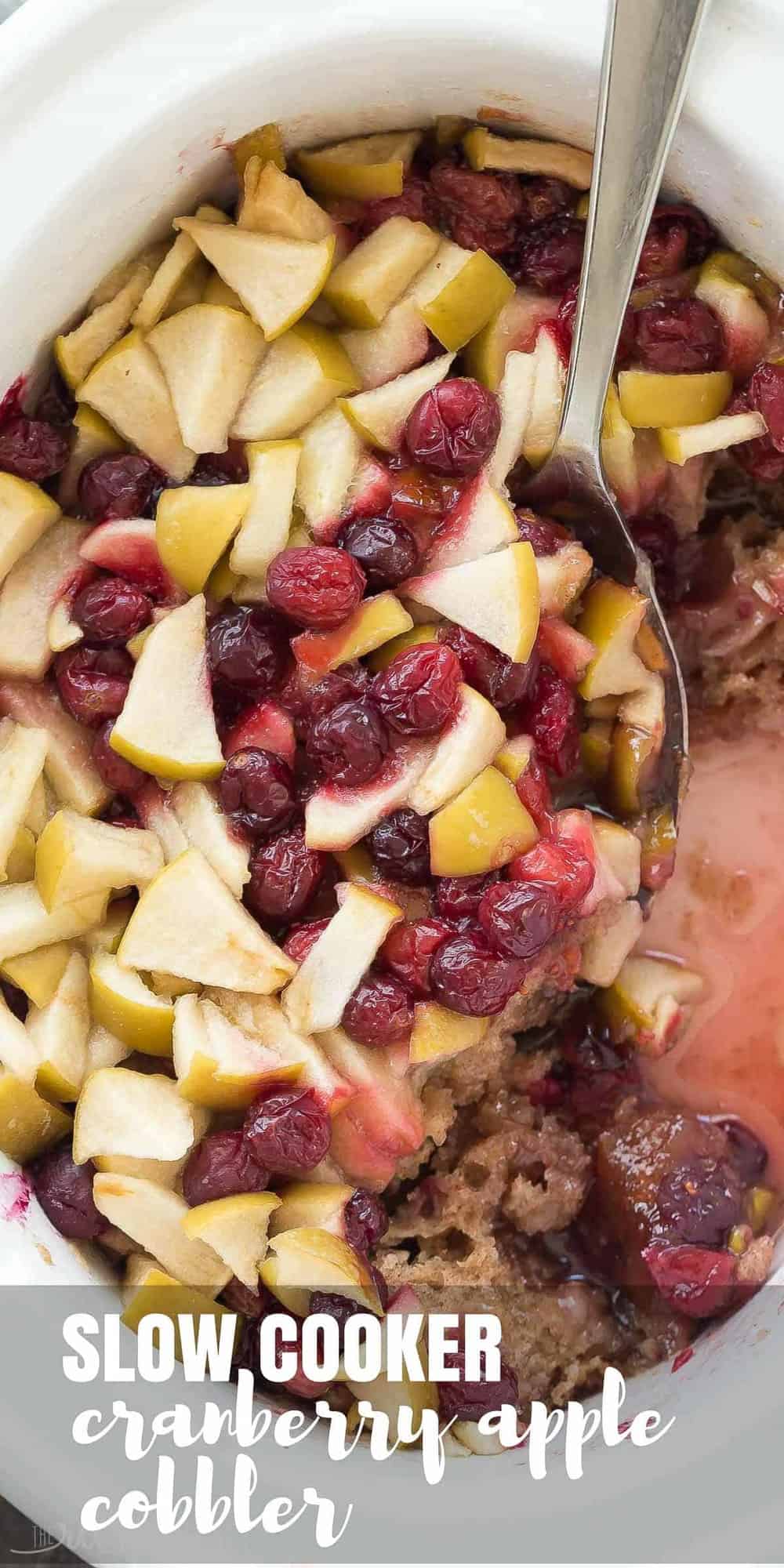 long overhead image of apple and cranberry cobbler being scooped out of crockpot