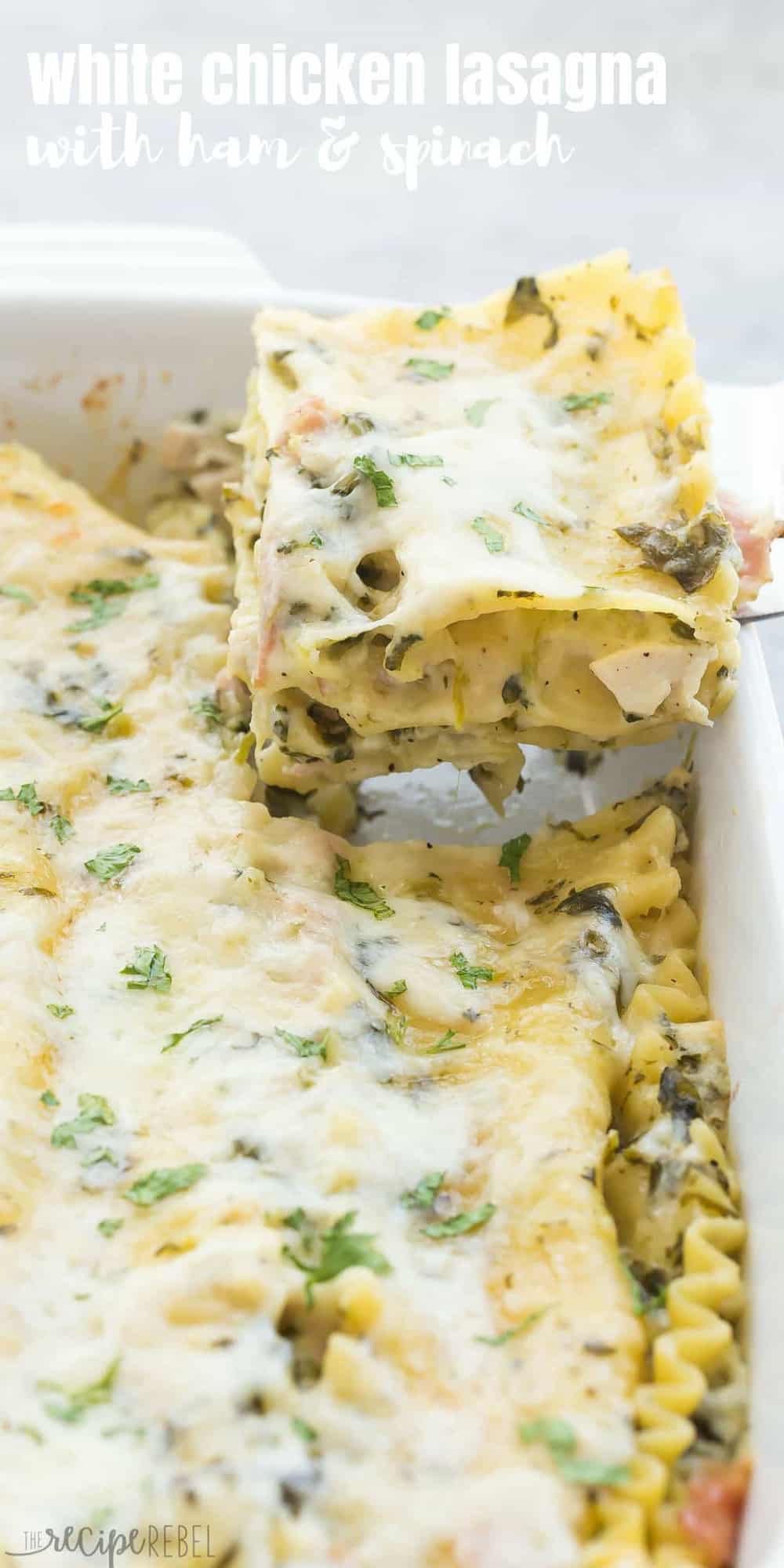 This White Chicken Lasagna with Ham and Spinach is the ULTIMATE comfort food! Made with a lighter Alfredo sauce, it's decadent enough for Thanksgiving or Christmas and still loaded with healthy ingredients. | dinner recipe | easy dinner recipe | chicken dinner | chicken recipe | cordon bleu | pasta recipe | leftover ham | leftover chicken | rotisserie chicken | healthier | low fat