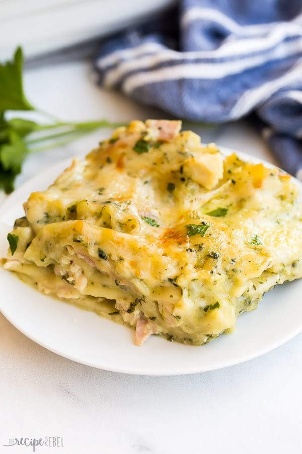 Piece of white chicken lasagna on white plate