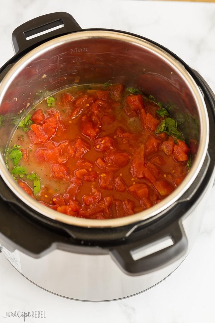 sauce ingredients in instant pot with tomatoes on top