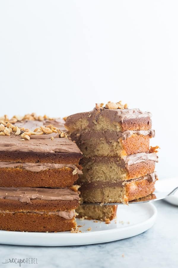 peanut butter cake with chocolate frosting piece being removed on silver cake server