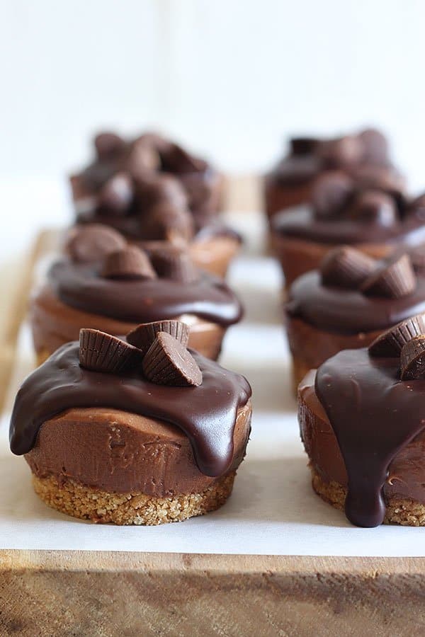 no bake chocolate peanut butter cheesecake minis with chocolate ganache and peanut butter cups on top