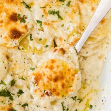 cropped-scalloped-potatoes-TRR-1200-18-of-35.jpg
