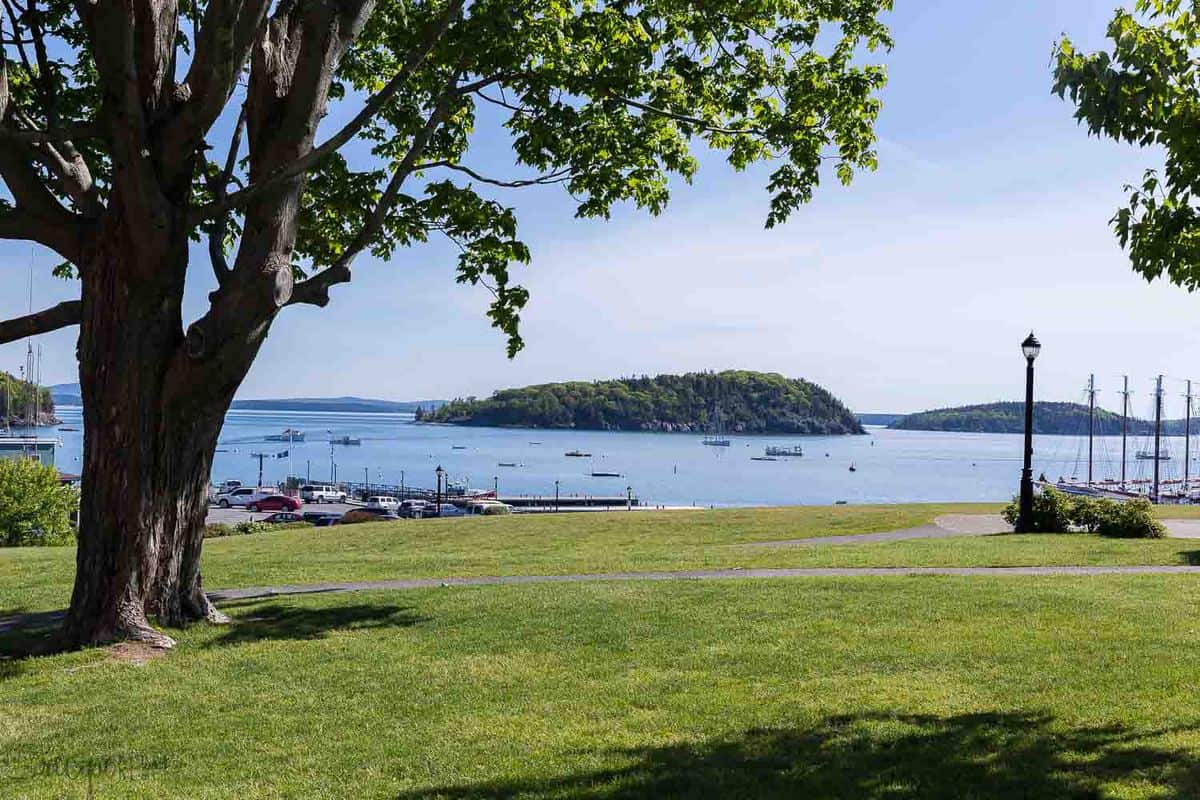 bar harbor agamont park looking out over the water