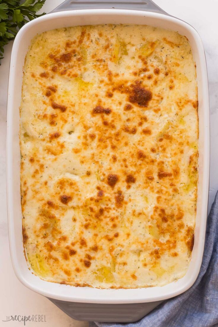 scalloped potatoes out of the oven with golden brown cheese