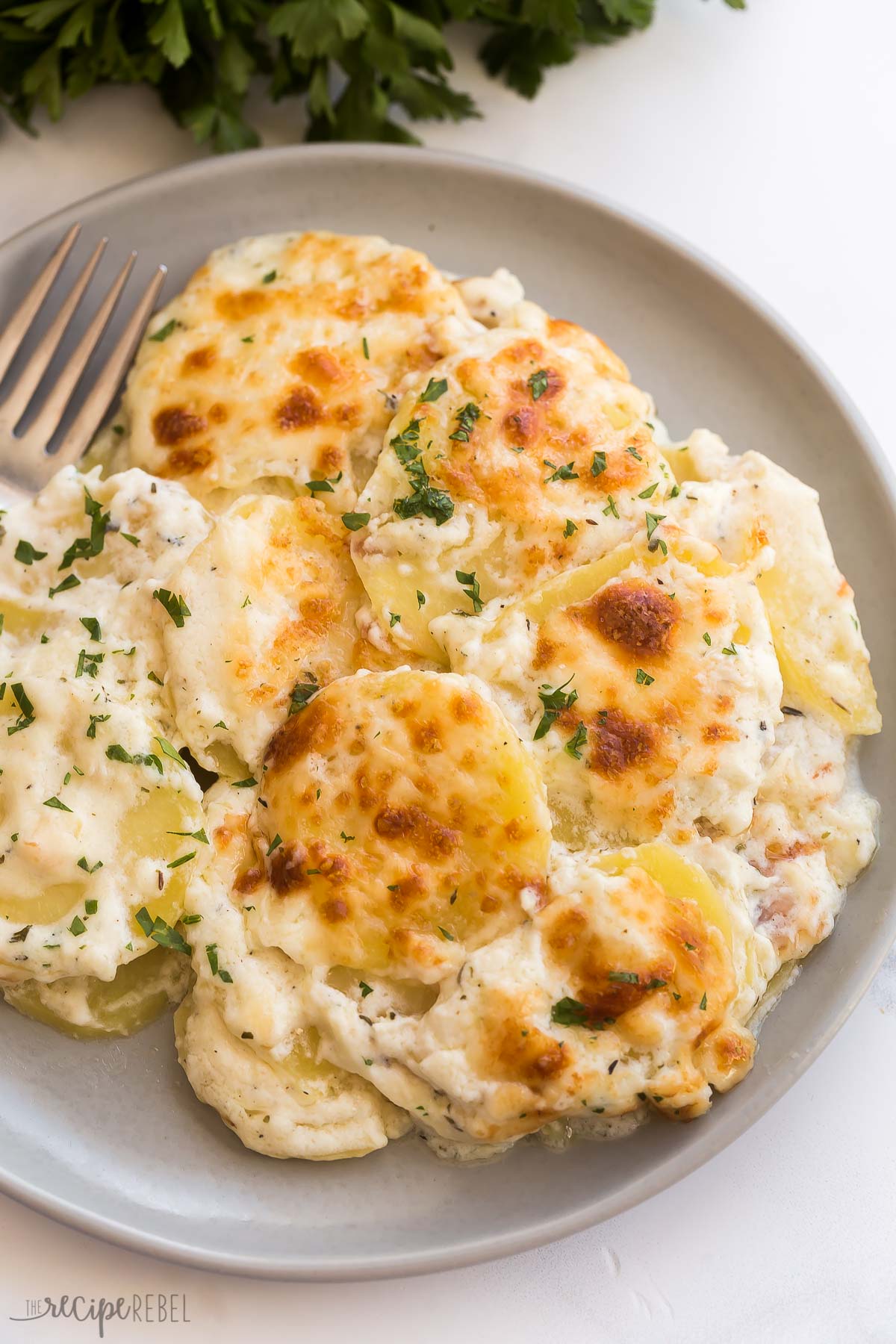 close up image of scalloped potatoes on a plate