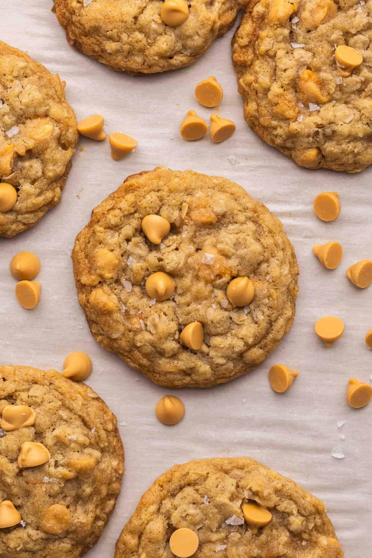 These Oatmeal Butterscotch Cookies (Oatmeal Scotchies) are soft, chewy, and loaded with butterscotch chips! Perfectly chewy and no chilling required! #cookie #recipe #baking | cookie recipes | oatmeal cookies | no chill cookies | easy cookie recipes | easy recipes | easy baking recipes overhead image of oatmeal butterscotch cookies on a baking sheet.
