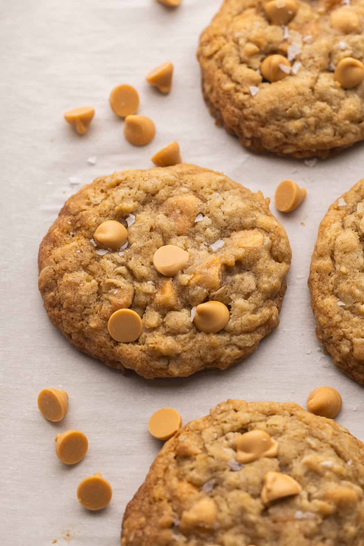 These Oatmeal Butterscotch Cookies (Oatmeal Scotchies) are soft, chewy, and loaded with butterscotch chips! Perfectly chewy and no chilling required! #cookie #recipe #baking | cookie recipes | oatmeal cookies | no chill cookies | easy cookie recipes | easy recipes | easy baking recipes butterscotch oatmeal cookie on baking sheet with butterscotch chips around.