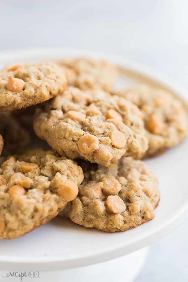 These Oatmeal Butterscotch Cookies (also called Oatmeal Scotchies) are soft, chewy, and loaded with butterscotch chips! No chilling required! #cooking #baking #recipe #cookies #dessert oatmeal butterscotch cookies on a white plate close up with a white background