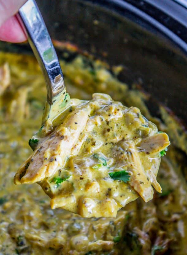 slow cooker basil curry chicken close up of ladle