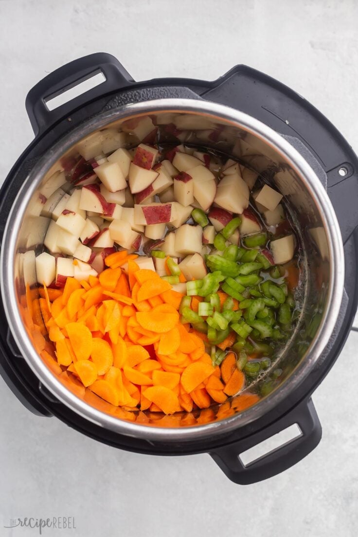 vegetables for soup added to broth in instant pot.
