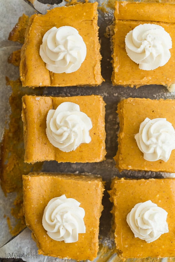 pumpkin cheesecake bars overhead cut into squares with one swirl of whipped cream in the center