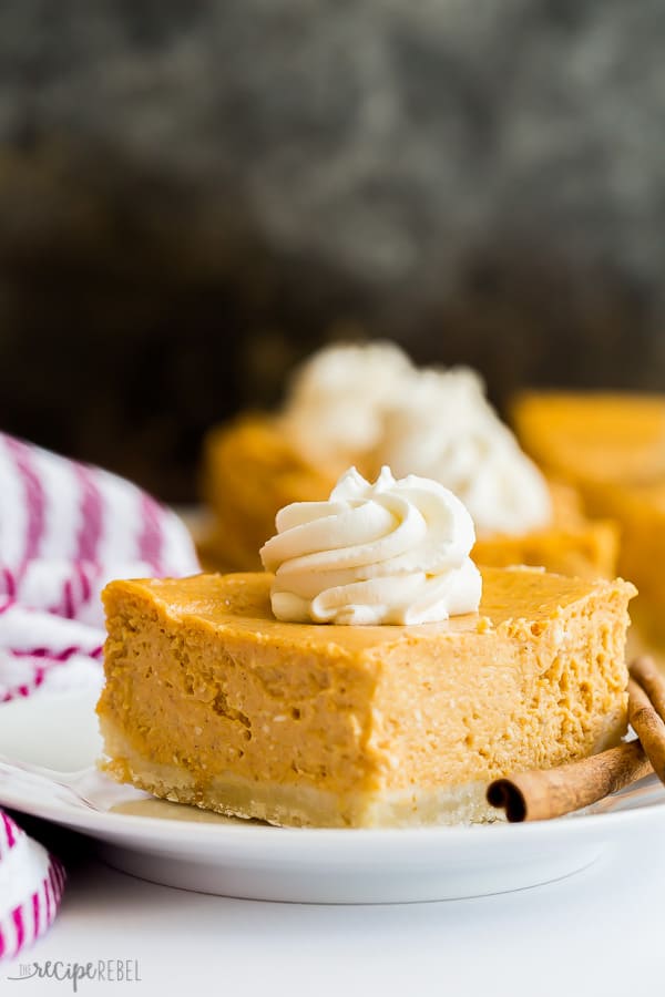 pumpkin cheesecake single on a plate with whipped cream on top and purple striped towel on the side