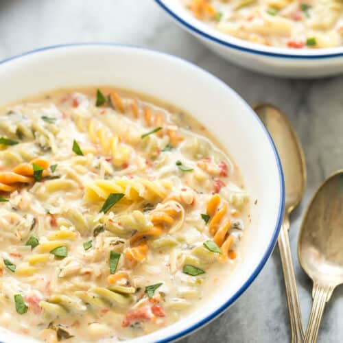 30+ Dump and Go Slow Cooker Recipes The Recipe Rebel