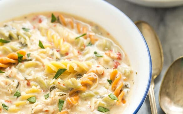 creamy slow cooker chicken noodle soup in white bowl