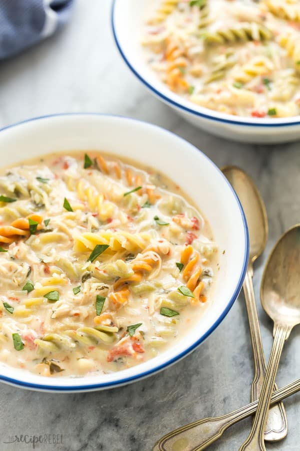 creamy slow cooker chicken noodle soup in white bowl