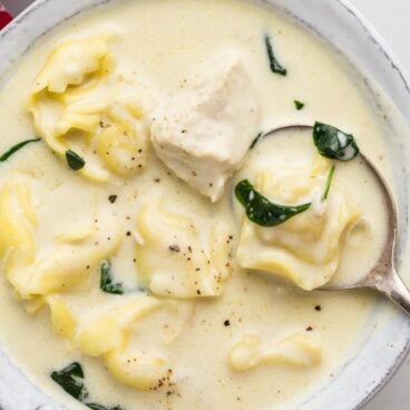 instant pot chicken tortellini alfredo soup close up