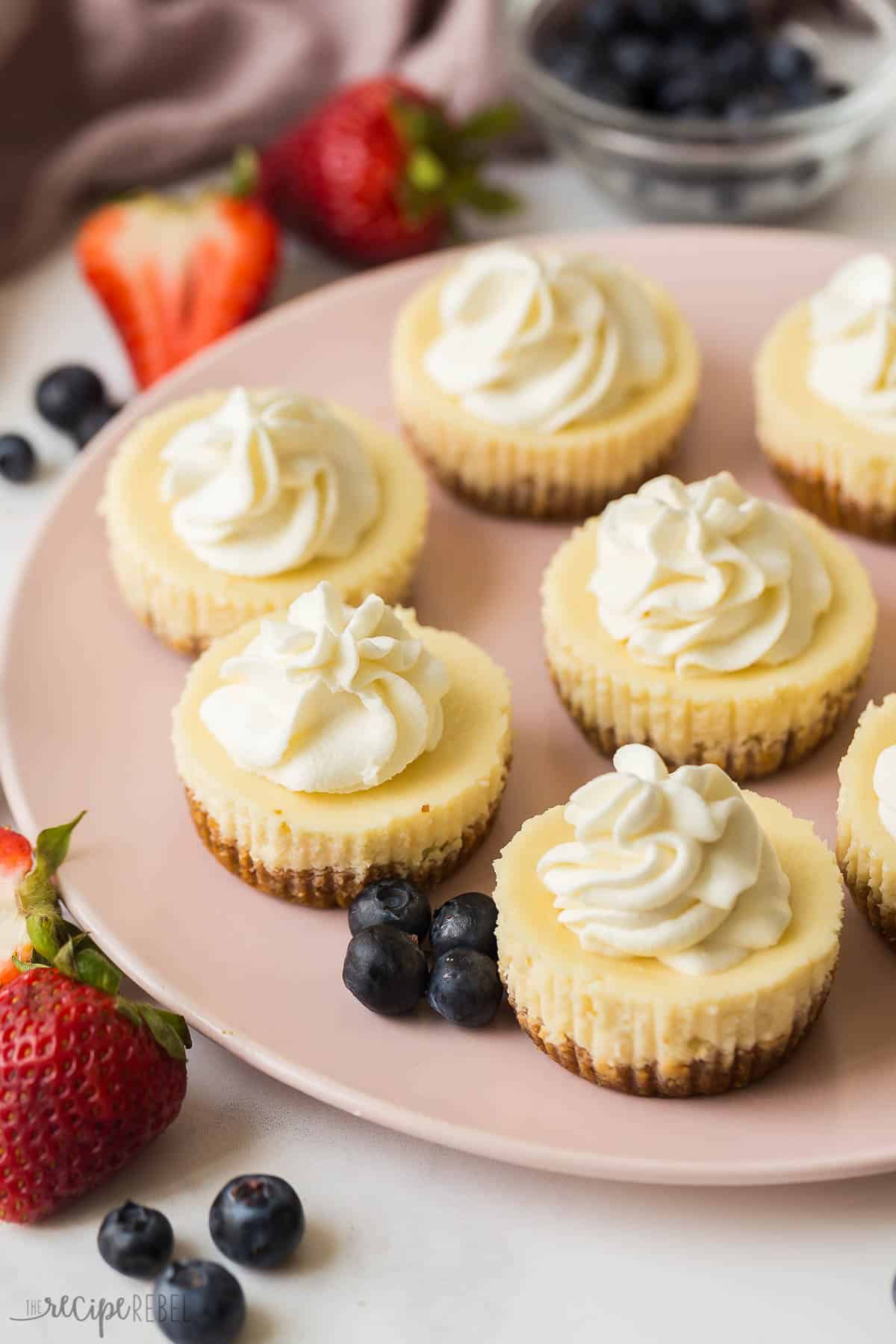 This easy Cheesecake Cupcakes recipe (mini cheesecakes) is simple to make and customize! They are made in a standard muffin pan, freezer friendly and perfect for any dessert table, birthday party or baby shower. #cheesecake #recipe #dessert | mini cheesecake recipe | mini cheesecakes | cheesecake recipes | potluck dessert | party dessert | cream cheese recipes | spring dessert | summer dessert many mini cheesecakes on a pink plate with whipped cream.