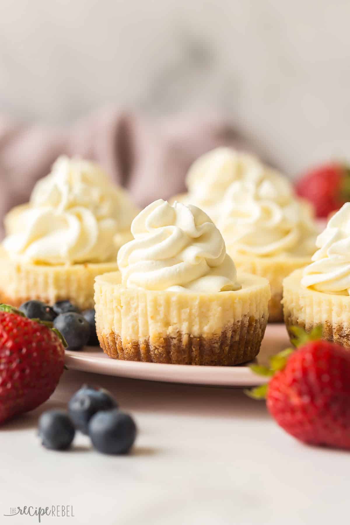 This easy Cheesecake Cupcakes recipe (mini cheesecakes) is simple to make and customize! They are made in a standard muffin pan, freezer friendly and perfect for any dessert table, birthday party or baby shower. #cheesecake #recipe #dessert | mini cheesecake recipe | mini cheesecakes | cheesecake recipes | potluck dessert | party dessert | cream cheese recipes | spring dessert | summer dessert close up image of cheesecake cupcakes on a pink plate with whipped cream.