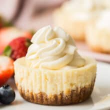 one cheesecake cupcake close up on white plate with whipped cream