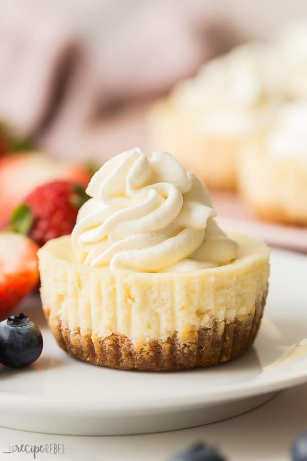 Easy Cheesecake Cupcakes Recipe + VIDEO - The Recipe Rebel