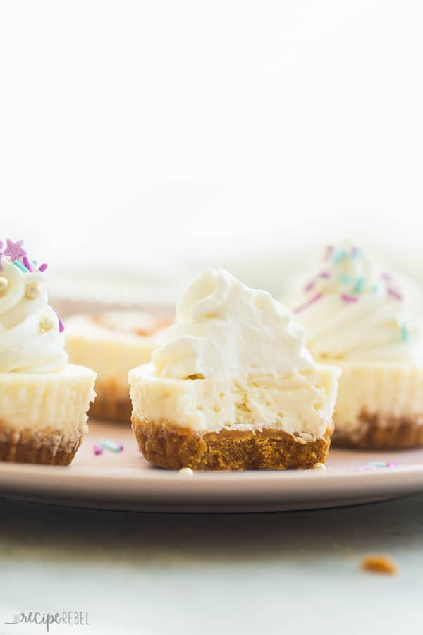 cheesecake cupcakes with a bite
