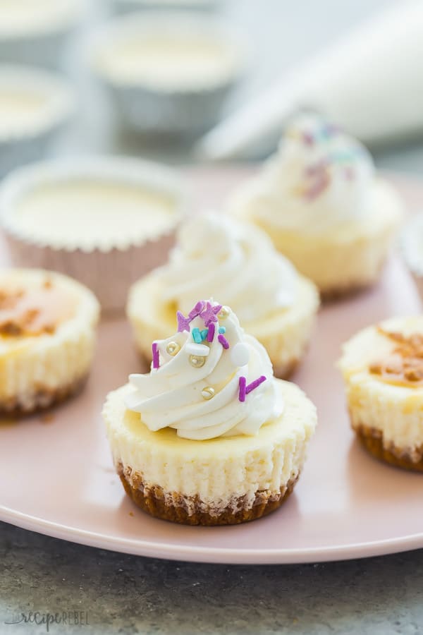 Easy Cheesecake Cupcakes Recipe + VIDEO - The Recipe Rebel