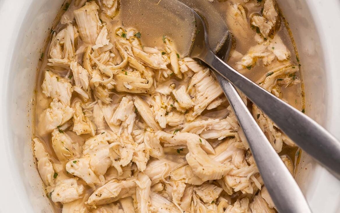 square image of slow cooker pulled chicken with two forks.